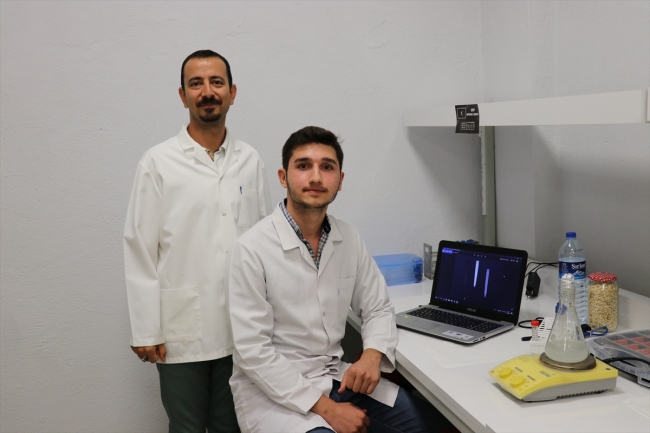 Ispanak ve zenfecil hastalık tespitinde kullanılacak